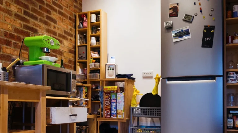 Refrigerator Buying Guide: Types, Energy Ratings & Storage Features