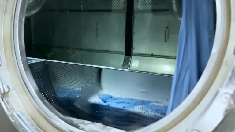 Dishwasher Buying Guide: Capacity, Cycles & Water Efficiency