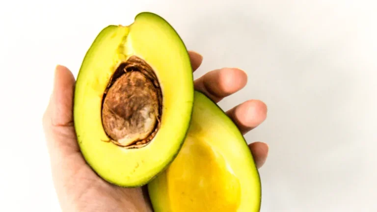 How to Create Balanced Meals: Protein, Carbs & Healthy Fats Explained
